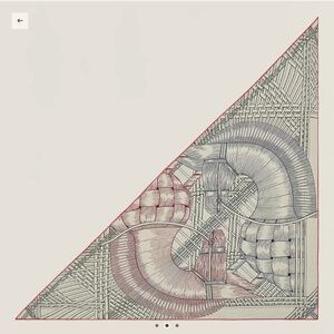 NWT Hermès Cashmere Masan & Masan Giant Triangle Shawl